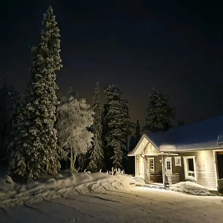 Hietavilla Aurora - Hot Tube - Sauna - Ac - Fireplace - 11Kw Ev-Refuel - Landscape View - Silence - Free Wifi-3